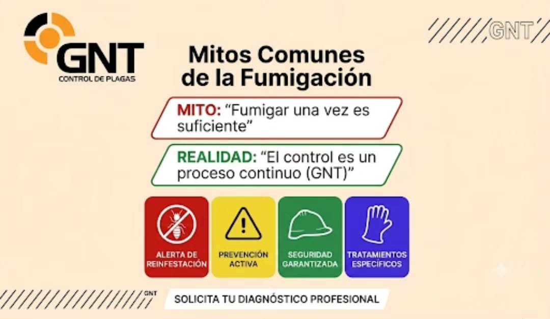 Mitos comunes de la fumigación