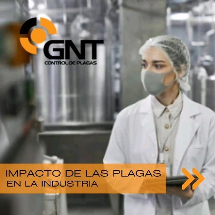 Impacto de las plagas en la industria