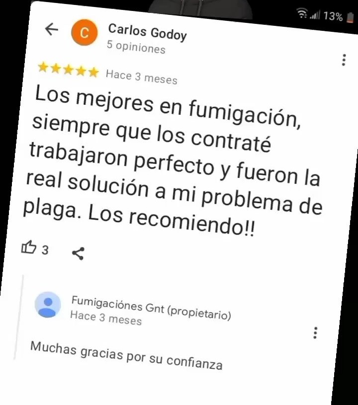 Captura de una opinión de Google sobre GNT Control de Plagas