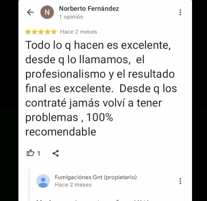 Captura de una opinión de Google sobre GNT Control de Plagas